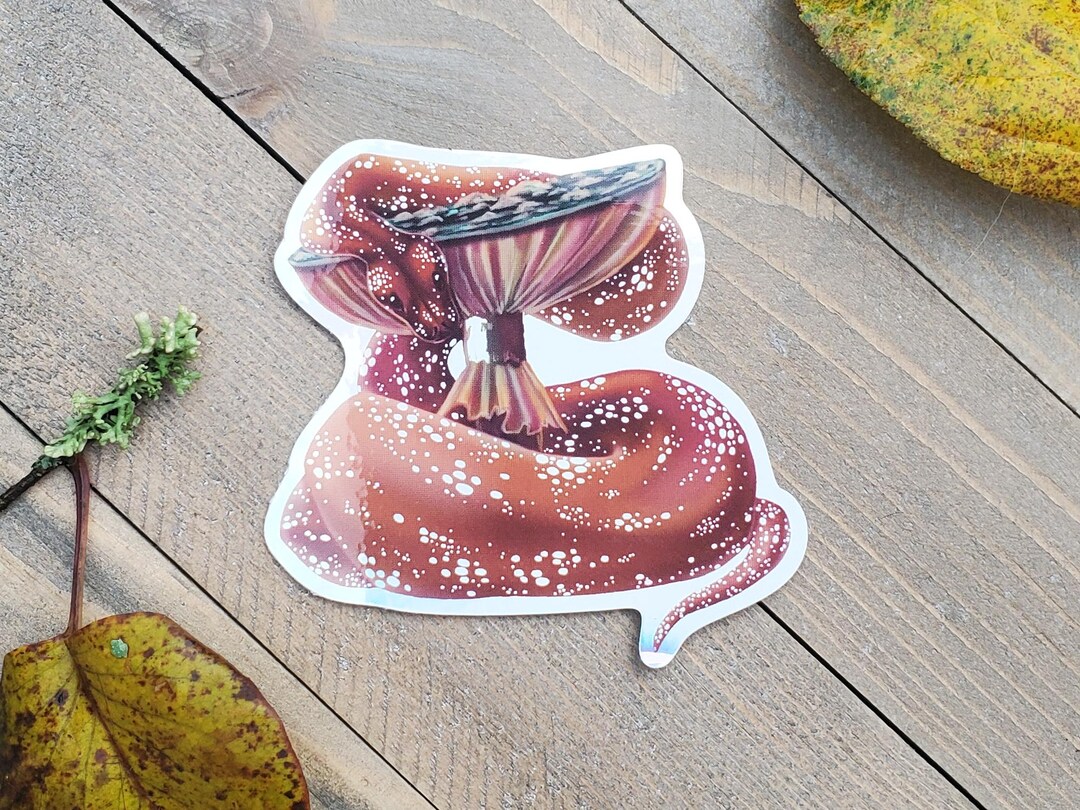 Ruby Boa Holographic Vinyl Dye Cut Sticker, Fantasy Snake on Mushroom ...