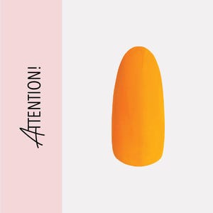 Attention! | Handmade Luxury Custom Press On Nail Set
