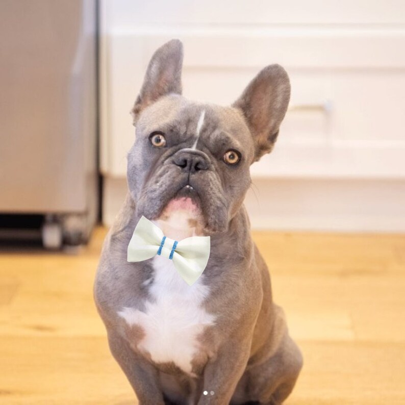 Elegant White Vegan Leather Bow Tie for Dogs and Cats Etsy