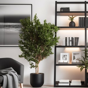 Modern Home Office Virtueller Hintergrund | 5 Zoom Virtuelle Hintergründe | Hintergrund | Büro Hintergrund | Microsoft Teams | Facebook | Google-Meet