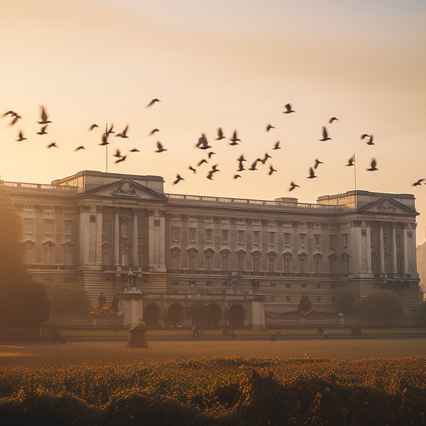 London Icons - Virtual Background | 5 Zoom Virtual Backgrounds | Backdrop | Office Background | Microsoft Teams | Facebook | Google Meet