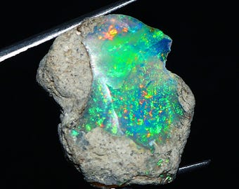 May include: A rough opal gemstone with a vibrant display of color. The opal features flashes of green, blue, orange, and red within a matrix of gray rock. The gemstone is held by a pair of metal tweezers against a black background.