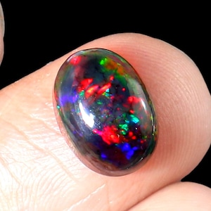 Könnte beinhalten: Ovaler schwarzer Opal-Edelstein mit roten, grünen und blauen Farbschimmern.