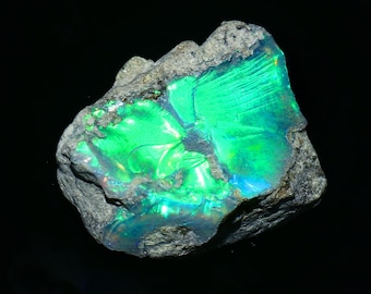 May include: A rough, uncut opal gemstone with a vibrant display of color. The opal's surface reflects a brilliant green hue, with hints of blue and yellow. The stone is set against a dark background, highlighting its natural beauty.