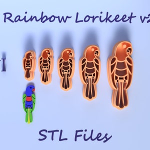 May include: Five different sized 3D printed cookie cutters shaped like a rainbow lorikeet. The cutters are stacked on top of each other and are orange in color. The text "Rainbow Lorikeet v2" and "STL Files" are visible in the image.