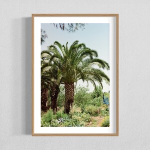 Israel Print - Garden in Northern Israel