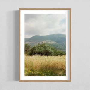 Israel Print - Northern Israel in Bloom