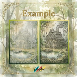 May include: Two detailed illustrations of a cottage in a forest setting. One is a line drawing, the other is a completed image with color. The word "Example" is at the top. The bottom of the image has the word "Colorilax".