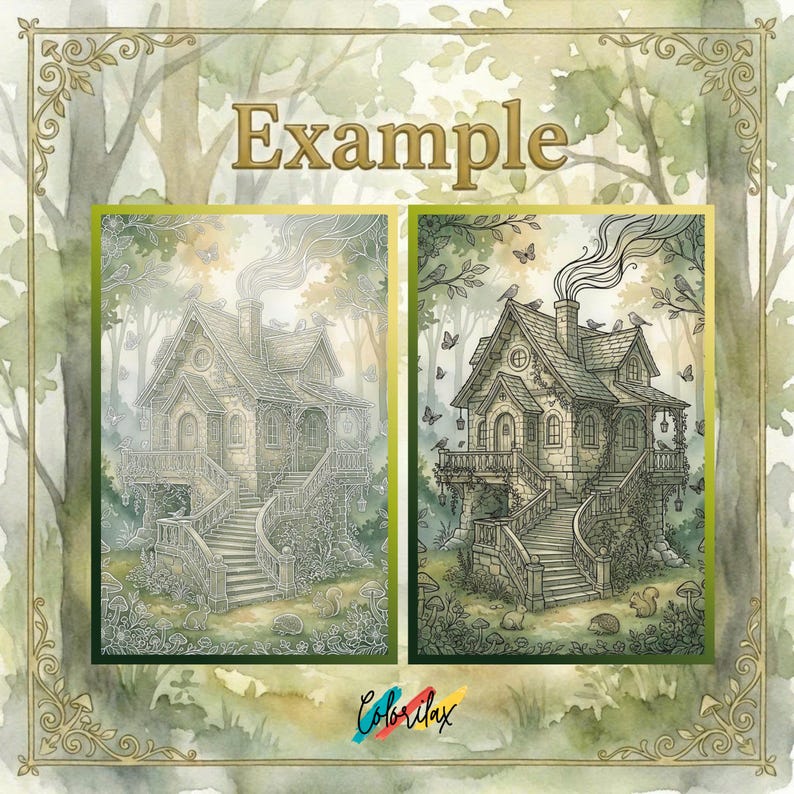 May include: Two detailed illustrations of a whimsical cottage in a forest setting. The cottage has a stone facade, a winding staircase, and a smoking chimney. The word "Example" is at the top. The illustrations are surrounded by a watercolor forest.