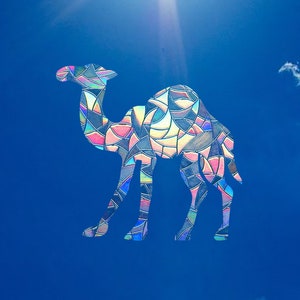 Camel Window Suncatcher Sticker - Desert Animal Art Decor Ornament Gift - Sun Catcher Decal