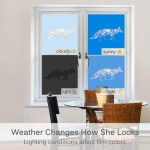 May include: A window with four different views of a fox silhouette made of stained glass. The top left window shows the fox in a cloudy sky, the top right window shows the fox in a sunny sky, the bottom left window shows the fox in a dark sky, and the bottom right window shows the fox in a light sky. The text "Weather Changes How She Looks" and "Lighting conditions affect film colors" is displayed below the window.