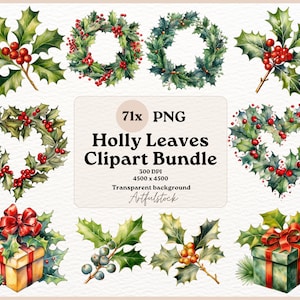 Watercolor Holly Clipart, Holly Mistletoe Clipart, Holly Leaves Clipart, winter botanical clipart, PNG, instant download, commercial use