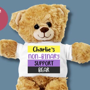 Personalized Non binary Nonbinary Support Teddy Bear, Stuffed Animal, LGBTQ Pride Gift, Custom Rainbow Bear, Funny Coming Out Plushie Mascot