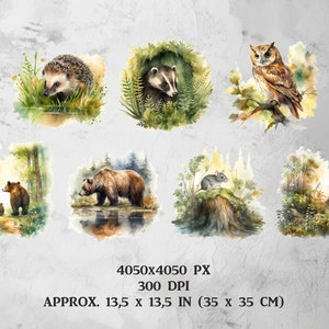 Puede incluir: Una ilustraci&oacute;n digital de una colecci&oacute;n de animales del bosque, incluyendo un erizo, un tej&oacute;n, un b&uacute;ho, un oso, un rat&oacute;n y una escena de bosque. Los animales est&aacute;n pintados en estilo acuarela con una paleta de colores suaves y apagados.