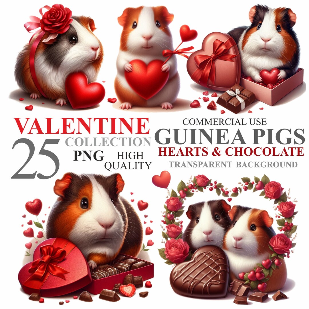 25 Watercolor Valentine Guinea Pigs Pack, February 14th Cute Animals ...