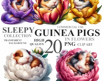 Paquete de 20 cobayas de acuarela con flores, lindas imágenes prediseñadas de animales florales de Pascua, paquete de imágenes prediseñadas de guardería de mascotas de primavera, uso comercial