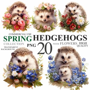 Pacote de 20 ouriços de primavera com flores, arte PNG de animais fofos em aquarela, pacote de clipart de berçário floral para animais de estimação, ouriço bebê para uso comercial