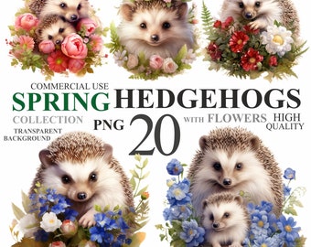 20 Spring Hedgehogs with Flowers Pack, Watercolor Cute Animals PNG art, Floral Pet Nursery Clipart Bundle, Baby Hedgehog for Commercial Use