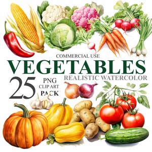 25 cliparts aquarelle de légumes du jardin, l'été ferme végétarienne PNG numérique Clip Art, Bundle Journal, sublimation extérieure à usage Commercial