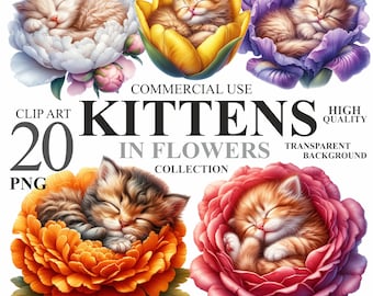 20 Watercolor Kittens in Flowers Pack, Cute Floral Little Cat PNG Clip art, Spring Baby Kitty Nursery Clipart Bundle, Commercial Use 300 DPI