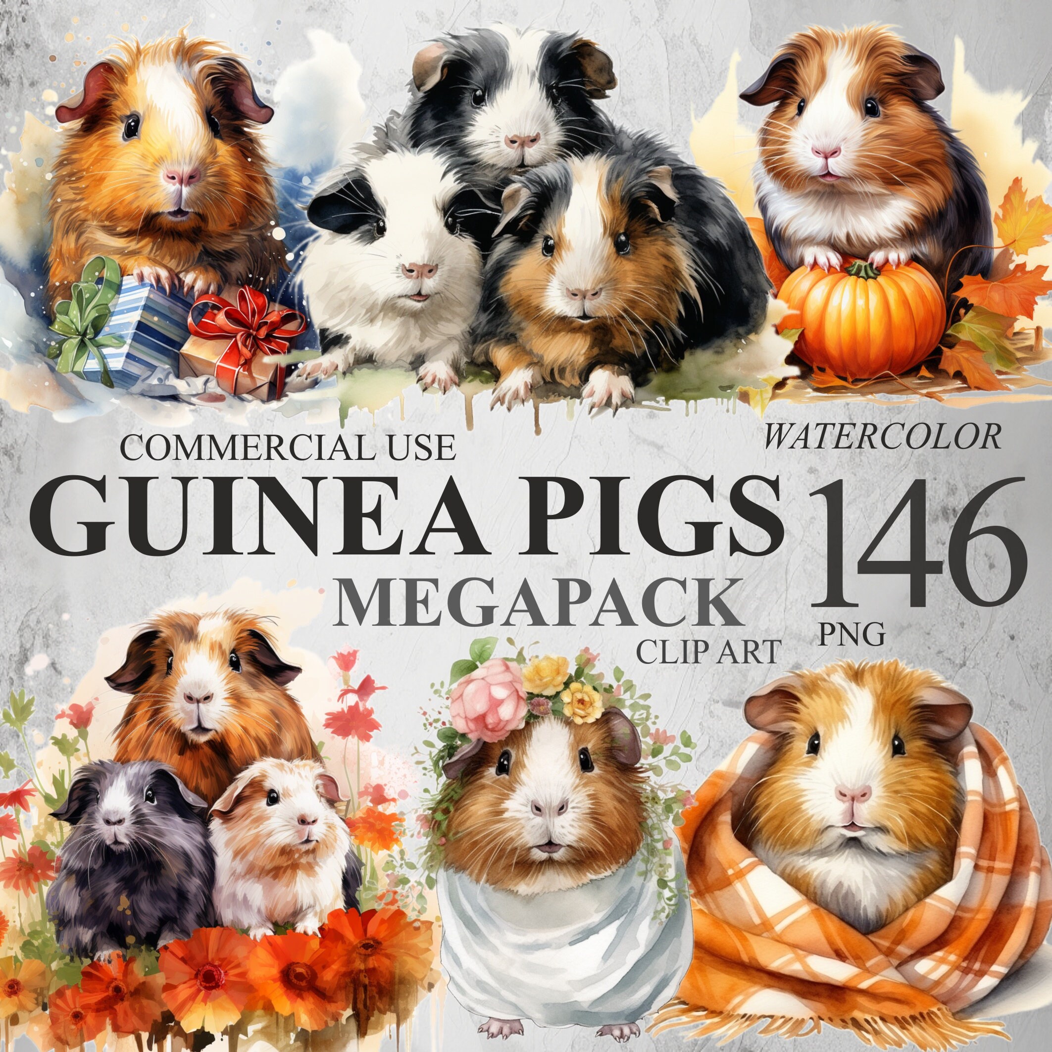 146 Megapack Guinea Pigs with Flowers Family Guinea Pig Pack, Watercolor Christmas Autumn Cute Animal Sublimation PNG Clipart Bundle 300 DPI