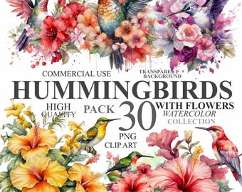 Paquete de 30 colibríes con flores, imágenes prediseñadas PNG de pájaros en acuarela, paquete de imágenes prediseñadas de pájaros tropicales en acuarela de verano, uso comercial 300 DPI
