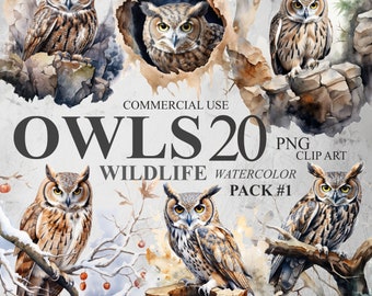 20 Clipart di animali selvatici di gufi, clipart digitale di animali del bosco ad acquerello PNG, bundle di clipart per bambini, illustrazioni di scrapbooking di uccelli invernali
