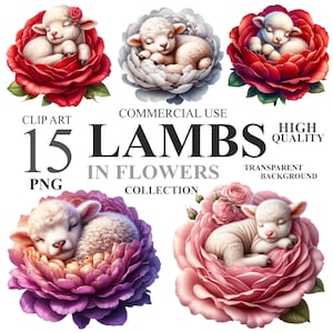 15 agnelli acquerellati in confezione di fiori, simpatici animali floreali PNG clipart, bundle di clipart per bambini primaverili con pecorelle assonnate, uso commerciale