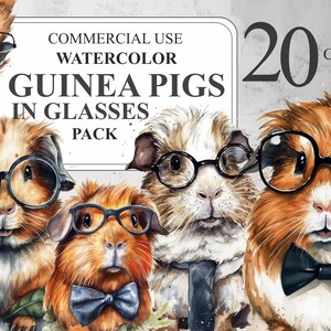 Confezione di porcellini d'India acquerellati con occhiali, 20 simpatici animali acquerellati con papillon PNG Clip art, pacchetto di clipart per animali domestici, uso commerciale 300 DPI