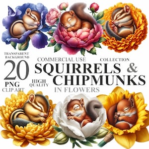 Lot de 20 écureuils et tamias aquarelles en fleurs, clipart PNG animal floral mignon de Pâques, lot de cliparts pour animaux de compagnie bébé printemps, usage Commercial