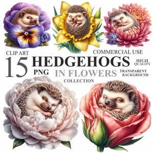 15 aquarel egels in bloemenpakket, schattige bloemenegel png-illustraties, lente baby slaperig kwekerij clipart bundel, commercieel gebruik