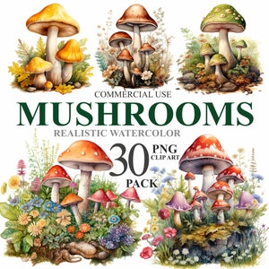 Aquarelle de 30 champignons forestiers, champignon magique PNG numérique clipart, champignon vénéneux automne Nature Clipart Bundle pour usage Commercial 300 DPI