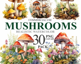 30 imágenes prediseñadas digitales de hongos del bosque en acuarela, hongos mágicos PNG, paquete de imágenes prediseñadas de naturaleza otoñal de hongos venenosos para uso comercial, 300 DPI