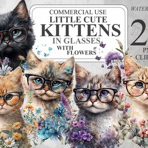 28 gatinhos fofos em óculos com flores clipart, aquarela gatos PNG clipart digital, ilustrações de gatos, pacote de clipart de animais transparentes