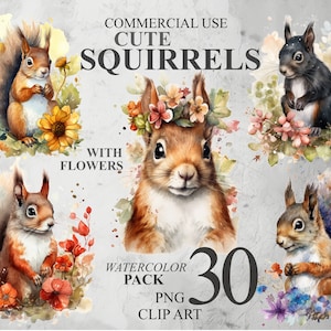 30 écureuils mignons avec des fleurs des cliparts, écureuil aquarelle PNG numérique clipart, illustrations de la forêt, ensemble floral animal Transparent