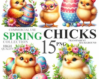 May include: A set of 15 digital illustrations of cute cartoon chicks with Easter eggs and flowers. The chicks are yellow with big eyes and beaks. The eggs are decorated with colorful patterns. The flowers are pink, purple, and yellow. The images are perfect for creating Easter crafts, cards, and decorations.