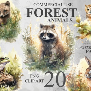 20 Clipart animaux de la forêt, aquarelle animaux de la forêt PNG numérique Clip Art, lot de cliparts pour chambre d'enfant, renard, ours, cerf, hérisson, raton laveur, lièvre