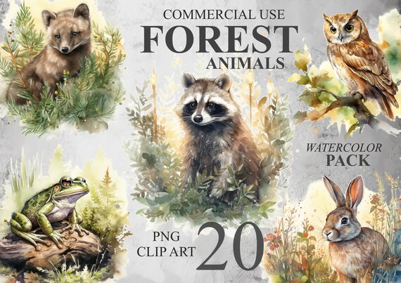 20 Forest Animals Clipart, Watercolor Woodland Animals PNG Digital Clip Art, Nursery Clipart Bundle, Fox, Bear, Deer, Hedgehog, Racoon, Hare