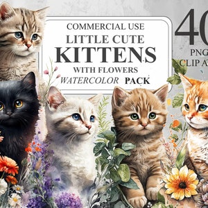 40 Cute Kittens with Flowers Clipart, Watercolor Little Cats PNG Digital Clip art, Cat Illustrations, Transparent Animal Clipart Bundle