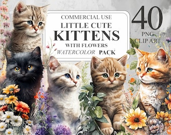 40 adorables gatitos con flores en imágenes prediseñadas, gatitos pequeños en acuarela PNG, ilustraciones de gatos, paquete de imágenes prediseñadas de animales transparentes