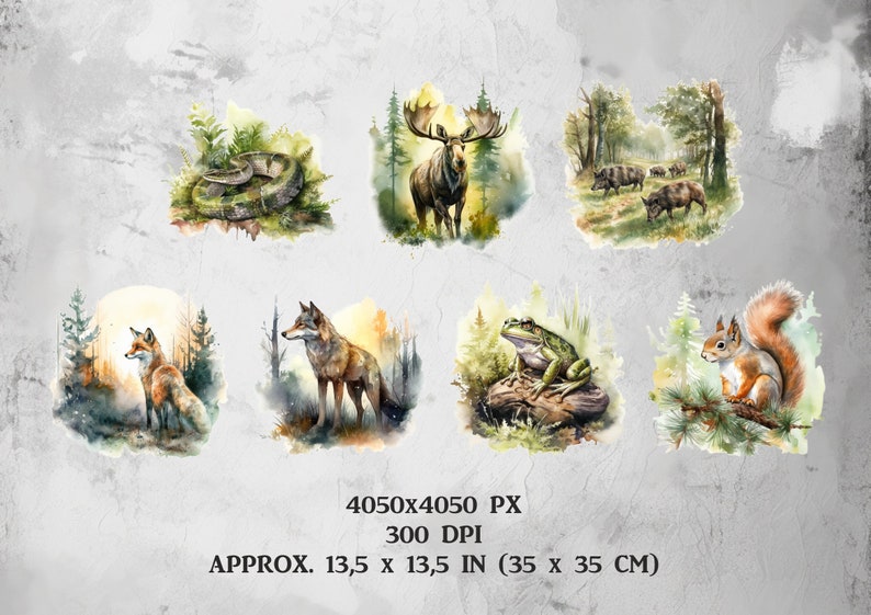 Puede incluir: Una ilustraci&oacute;n digital de un conjunto de pinturas de acuarela que representan varios animales del bosque. Los animales incluyen una serpiente, un alce, un zorro, un lobo, una rana, una ardilla y un grupo de jabal&iacute;es. Las pinturas est&aacute;n sobre un fondo de &aacute;rboles y follaje.