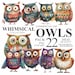 22 Whimsical Owls Clipart, Watercolor Funny Graphics PNG Digital Clip ...