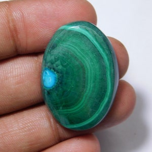 Top Quality Chrysocolla Malachite Natural Chrysocolla Malachite Cabochon Chrysocolla Loose Gemstone semi precious Jewelry (55 Ct 33 x 23 MM