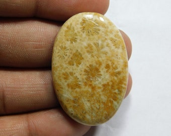 Natural Fossil Coral Loose Gemstone Top Quality Fossil Cabochon ,fossil coral Loose Gemstone, fossil Stone, semi precious 56Cts.(40X26)MM