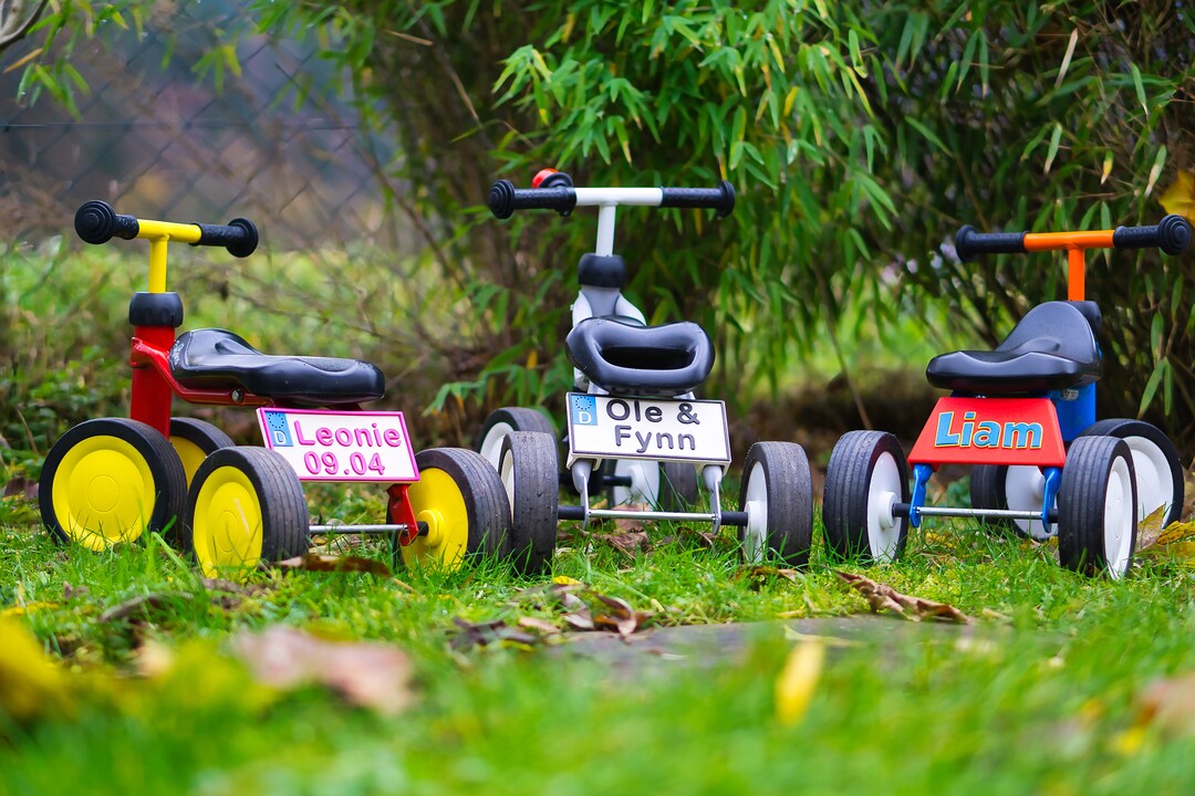 Marshall, Puky Wutsch/pukylino, Paw Patrol Personalized License Plate