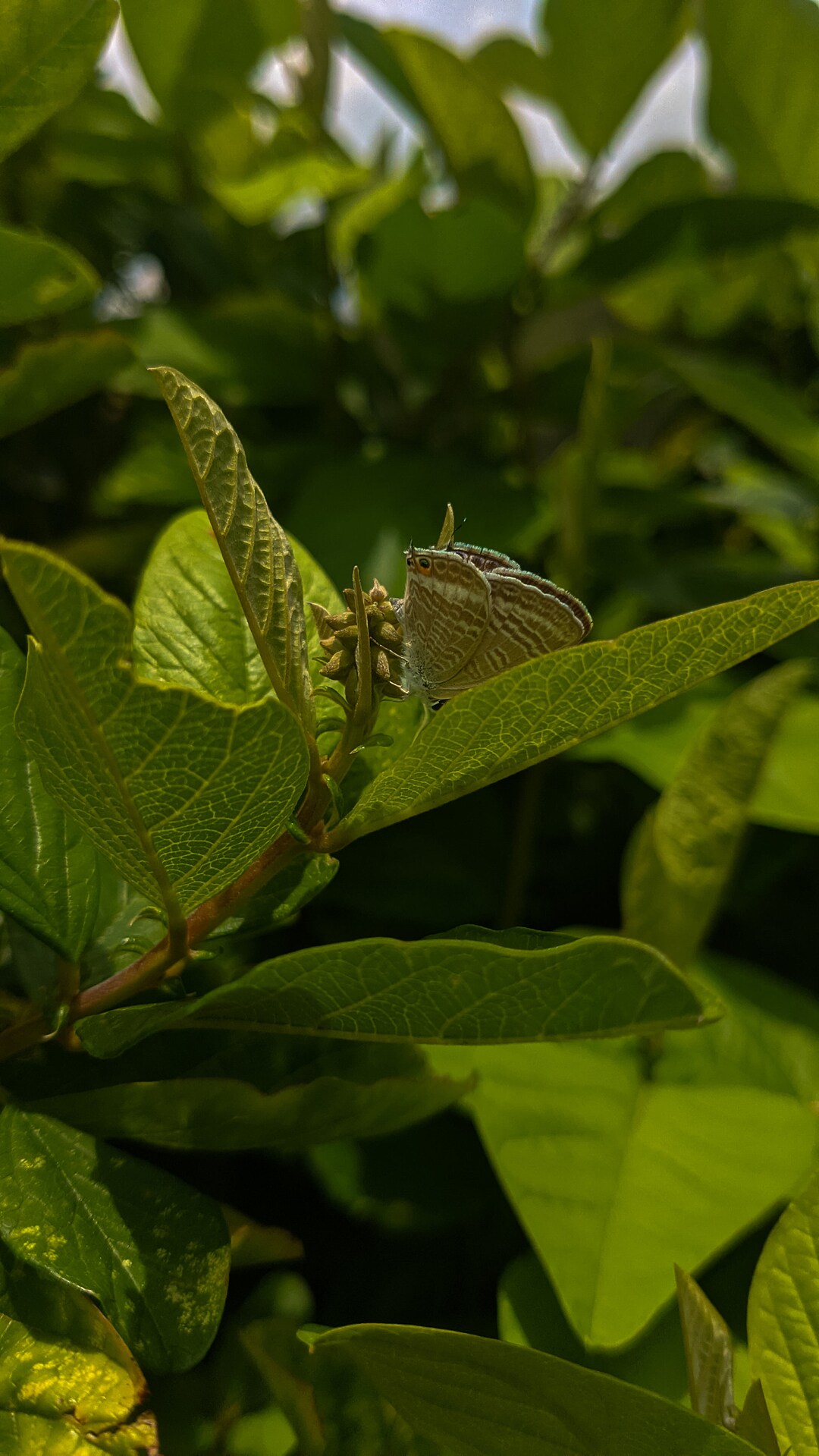 Printable Wall Art Phone Wallpaper Printable Gifts for Etsy