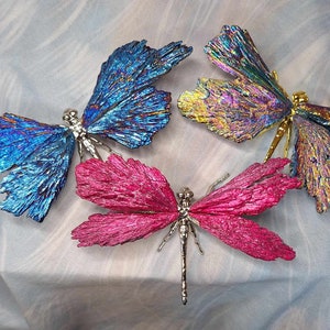 Black Kyanite Dragonfly Carvings, Choose your Own