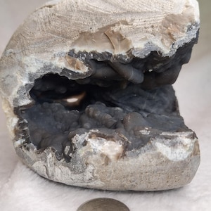 May include: A geode with a white exterior and a dark gray interior filled with small crystals. A US quarter is shown for scale.
