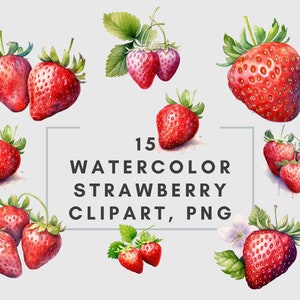 15 Watercolor Strawberry, Clipart, PNG, Overlay, Bundle