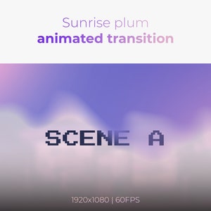 Twitch Transition, Animated Stinger Transition, Pink and Purple Scene Transition, Liquid Transition, OBS, YouTube, Animated Gradient
